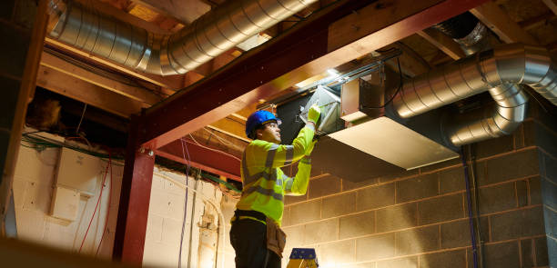 Best Affordable Duct Cleaning Services  in Arbutus, MD