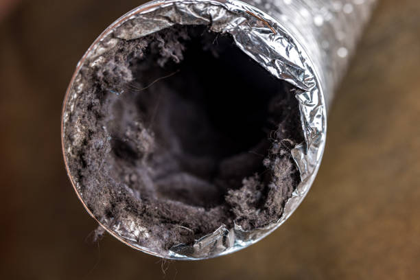 Best Best Air Duct Cleaning Near Me  in Arbutus, MD