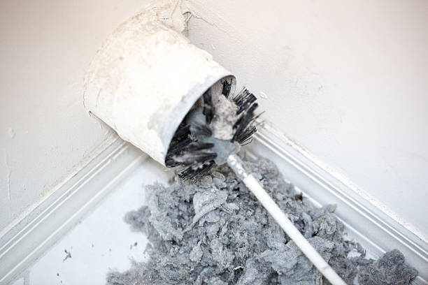 Best HVAC Duct Inspection Services  in Arbutus, MD